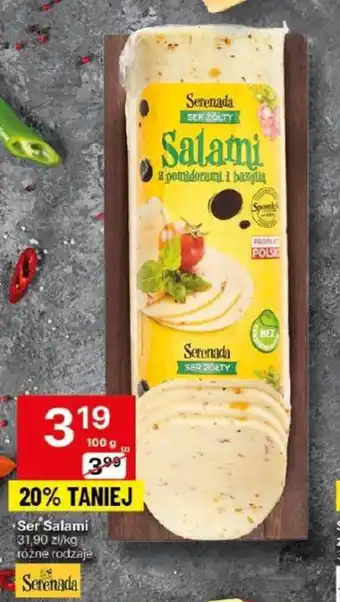 Delikatesy Centrum Ser Salami Serenada 100g oferta