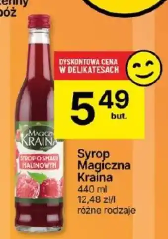 Delikatesy Centrum Syrop Magiczna Kraina 440 ml oferta