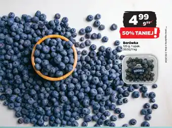 Netto Borówka oferta