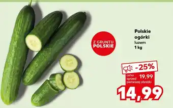 Kaufland Ogórki oferta