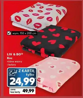 Kaufland Koc oferta