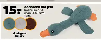 Netto Zabawka dla psa oferta