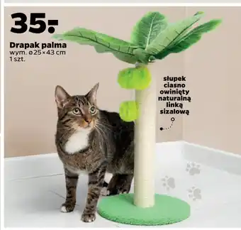 Netto Drapak palma oferta