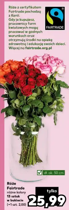 Kaufland Róże Fairtrade 13 szt. oferta
