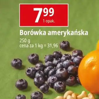 E.Leclerc Borówka amerykańska 250 g oferta