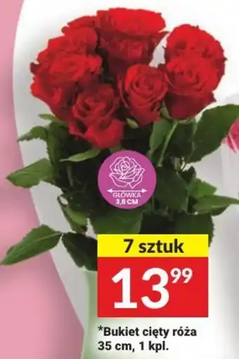 Bukiet cięty róża 35 cm, 1 kpl.
