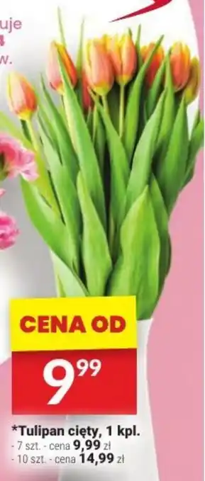 Twój Market Tulipan cięty, 1 kpl. oferta