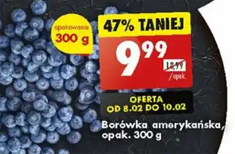 Biedronka Borówka amerykańska, opak. 300 g oferta