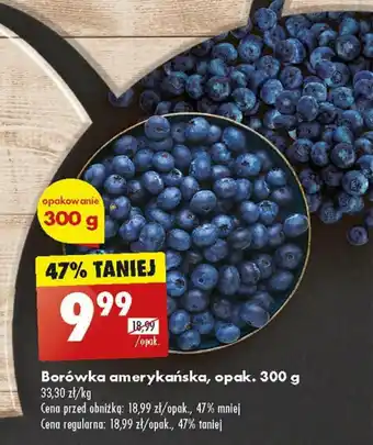 Biedronka Borówka amerykańska, opak. 300 g oferta