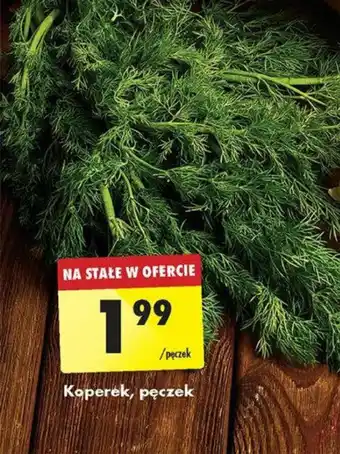 Biedronka Koperek, pęczek oferta