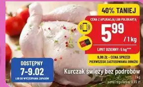 Polomarket Kurczak oferta