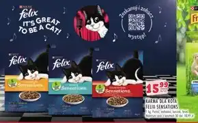 Stokrotka Karma dla kota Felix oferta