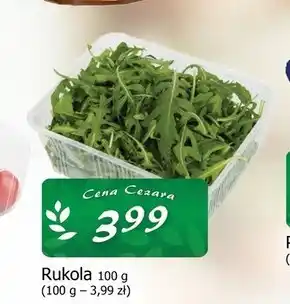Cezar Delikatesy Rukola oferta