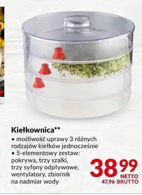 Kiełkownica Netto