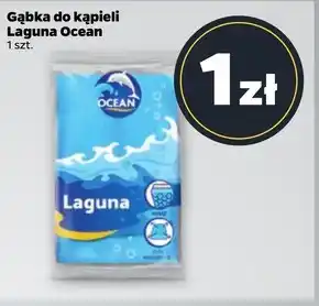 Gąbka Laguna