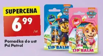 Biedronka Pomadka do ust Psi Patrol oferta