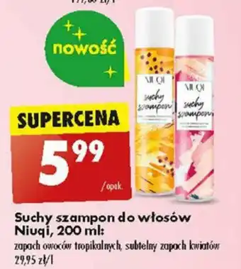 Biedronka Suchy szampon do włosów Niuqi 200 ml oferta