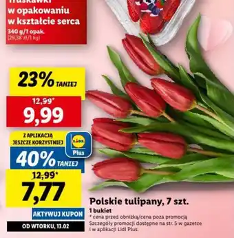 Lidl Polskie tulipany, 7 szt. oferta