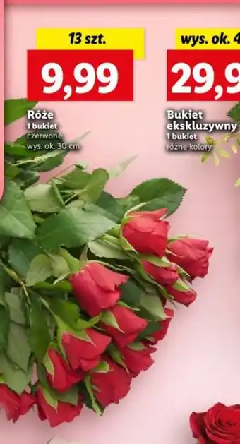 Lidl Róże 13 szt. oferta
