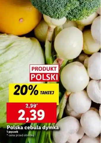 Lidl Polska cebula dymka oferta