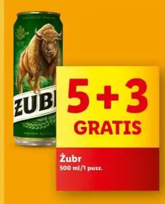 Lidl Żubr 500 ml oferta