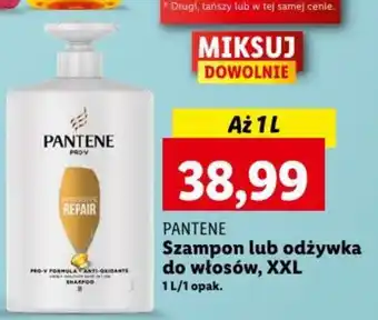 Lidl PANTENE Szampon lub odżywka do włosów XXL 1L oferta