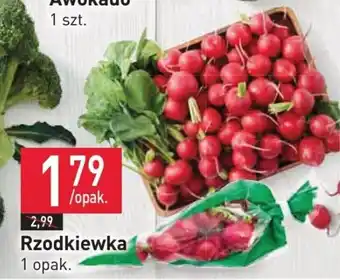 Stokrotka Market Rzodkiewka oferta