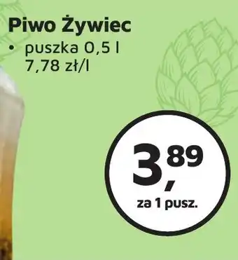 Odido Piwo Żywiec 0,5l oferta
