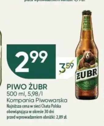 Chata Polska PIWO ŻUBR 500 ml oferta