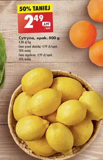 Biedronka Cytryna 500 g oferta