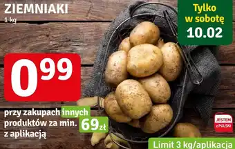 Stokrotka Ziemniaki Polski oferta