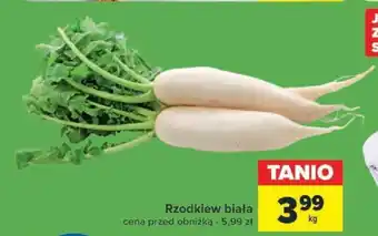 Carrefour Rzodkiew biała 1 kg oferta