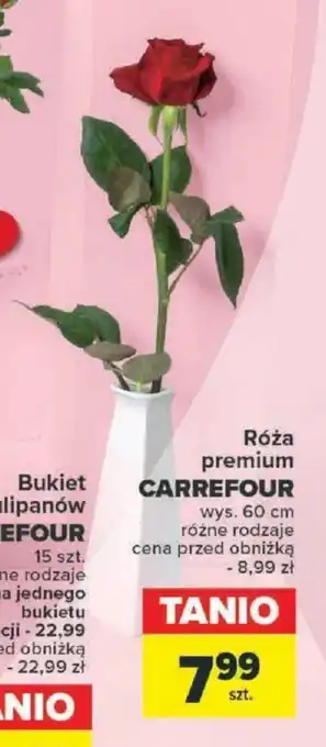 Carrefour Róża premium CARREFOUR oferta