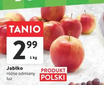 Intermarche Jabłko 1kg oferta