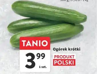 Intermarche Ogórek krótki oferta