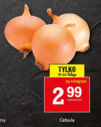 Gram Market Cebula oferta