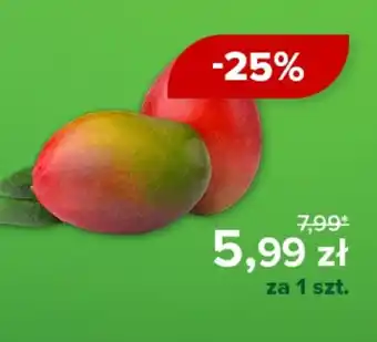 Barbora Mango oferta