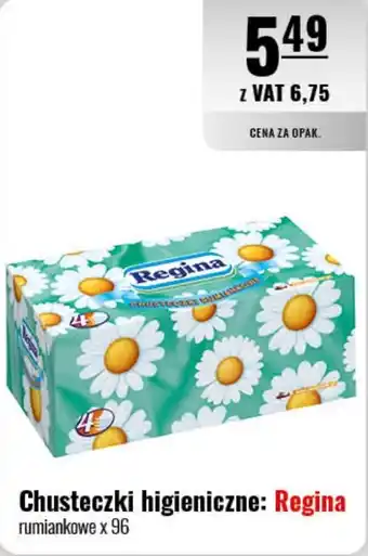 Eurocash Chusteczki higieniczne: Regina 96 szt. oferta