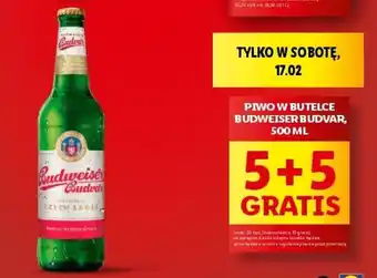 Lidl PIWO W BUTELCE BUDWEISER BUDVAR, 500 ML oferta