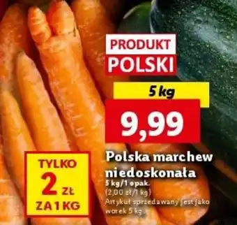 Lidl Polska marchew niedoskonała 5 kg/1 opak. oferta