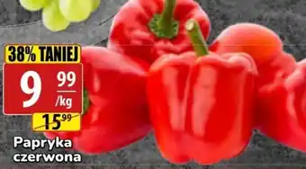 API MARKET Papryka oferta
