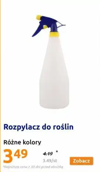 Action Rozpylacz do roślin oferta
