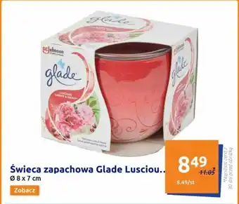 Action Świeca zapachowa Glade oferta