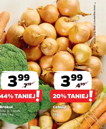 Netto Cebula oferta