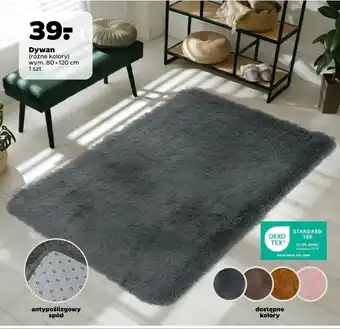 Netto Dywan oferta