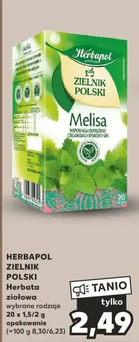 Kaufland HERBAPOL ZIELNIK POLSKI Herbata ziołowa 20x1,5/2g oferta