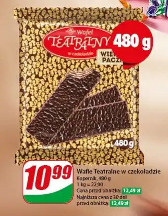 Dino Wafle Teatralne w czekoladzie Kopernik, 480 g oferta