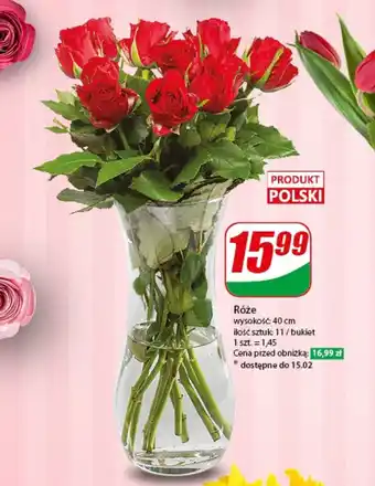 Dino Róże 11 szt. oferta