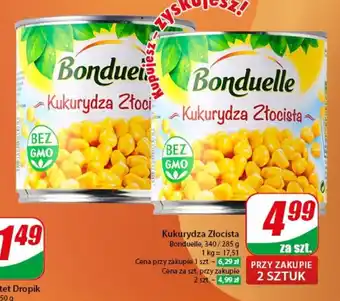 Dino Kukurydza Złocista 340/285 g oferta