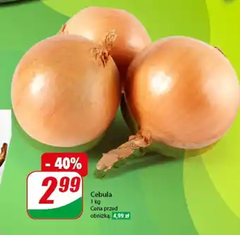 Dino Cebula 1 kg oferta